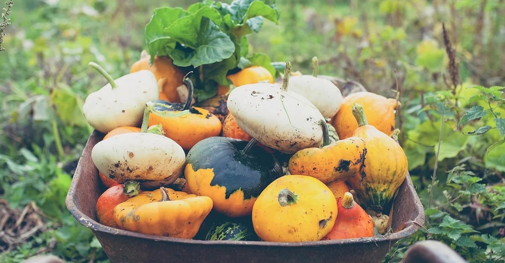 Food Circle Huddersfield