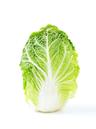 Cabbage: Chinese