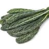 Kale: Cavolo Nero
