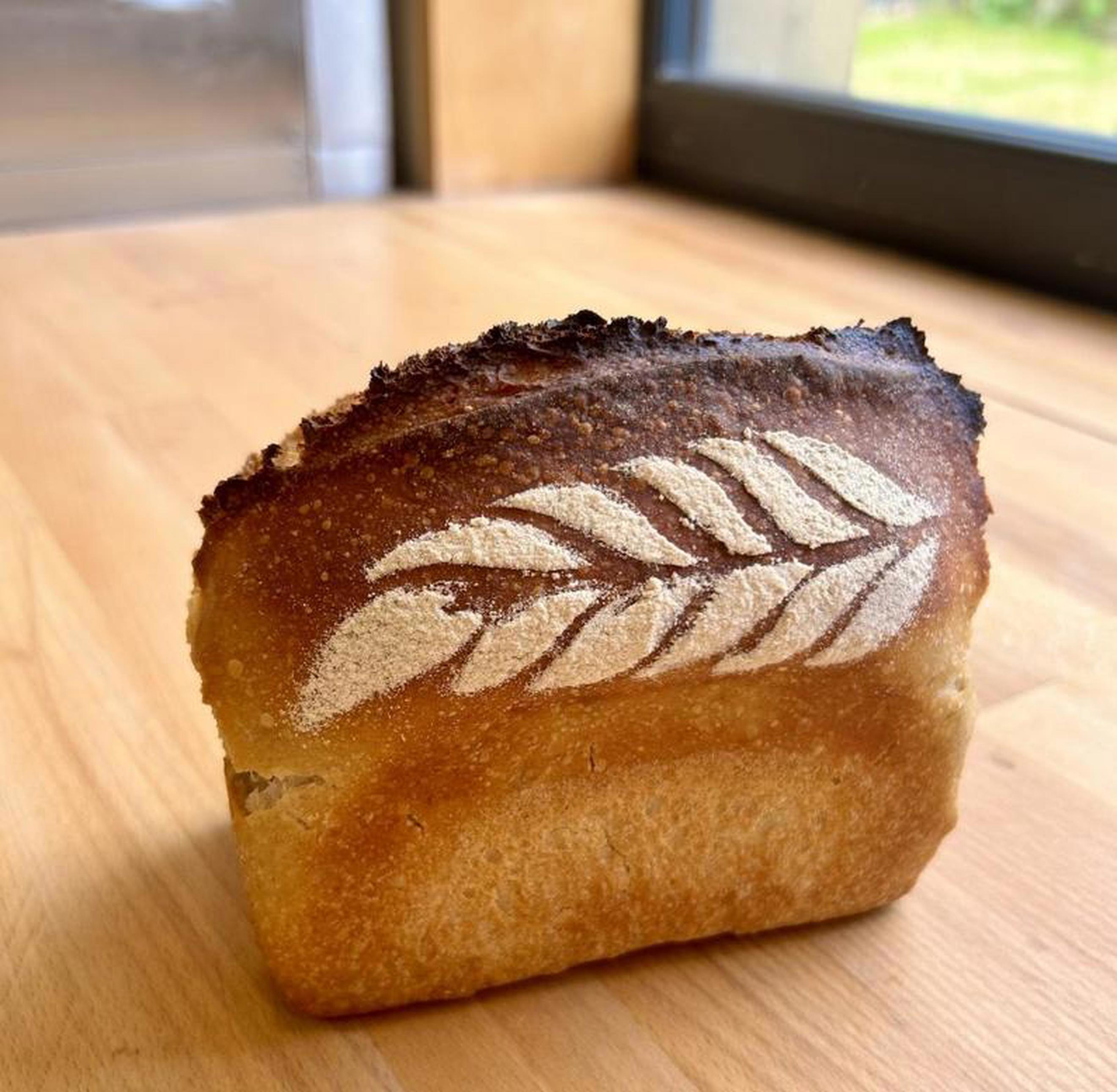 Yorkshire Whitish Mini